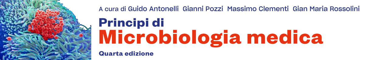 libro Guido Antonelli, Massimo Clementi, Gianni Pozzi, Gian Maria Rossolini, Principi di Microbiologia medica 4E