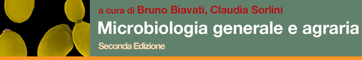 libro Bruno Biavati, Claudia Sorlini, Microbiologia generale e agraria