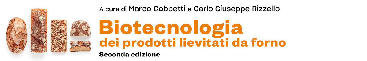 libro Marco Gobbetti, Carlo Giuseppe Rizzello, Biotecnologia dei prodotti fermentati da forno 2E