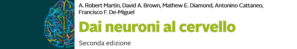libro A. Robert Martin, David A. Brown, Mathew E. Diamond, Antonio Cattaneo, Francisco F. De-Miguel, Dai neuroni al cervello 2E