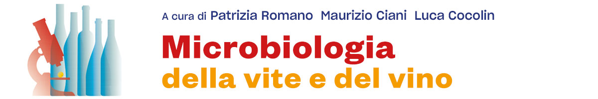 libro Patrizia Romano, Maurizio Ciani, Simone Cocolin, Microbiologia della vite e del vino