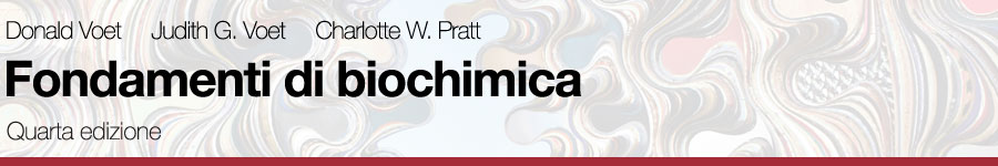  Donald Voet, Judith G. Voet, Charlotte W. Pratt, Fondamenti di biochimica